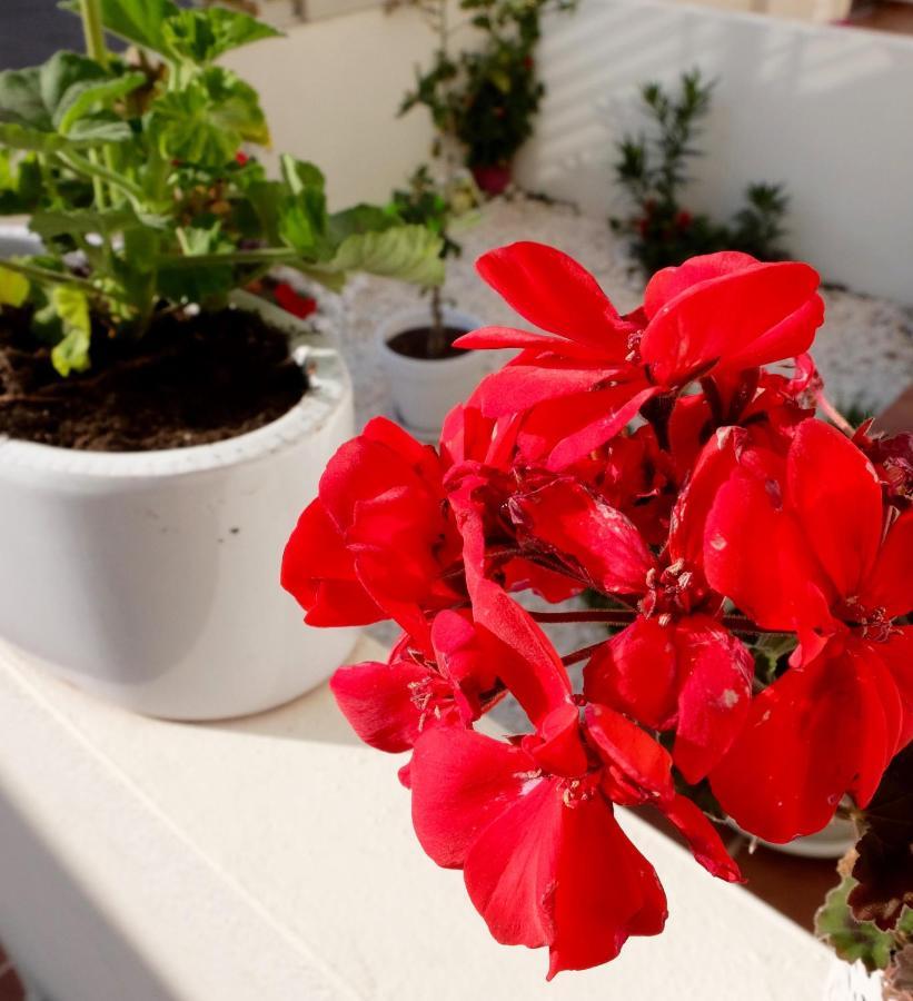 B&B Casa Louisa, Torre Del Mar- Valleniza Velez Malaga Luaran gambar